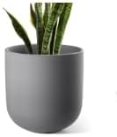 LE TAUCI 8 Inch Plant Pot, Ceramic Pot with Drainage Hole & Rubber Plug, Indoor Planter for Herbs & Small Houseplants, Cylinder Planter for Home Office, Black by LETAUCI