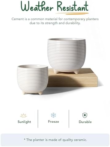 LE TAUCI Ceramic Plant Pots, 5.1 + 6.4 Inch Footed Pots for Plants, Modern Flower Pots for Home and Office, Indoor Planters with Drainage, Reactive Glaze White - Image 6