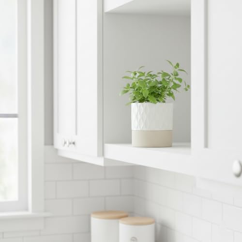 Nihow Self Watering Ceramic Plant Pot, 4.5 Inch, Cream White & Brown Net - Image 7