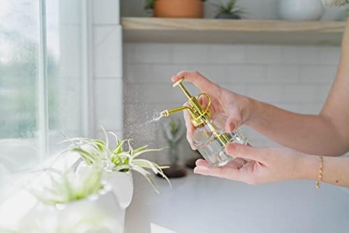 Glass Plant Watering Mister – 8 Ounces Gold Accent Plant Spray Bottle – Single Handed Watering Can for Indoor Plants - Image 6