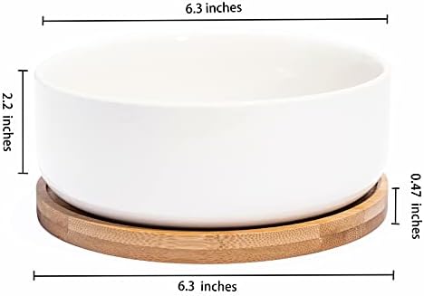 LANKER 6.3 Inch Round White Ceramic Succulent Planter Pot with Bamboo Tray - Image 6