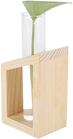 Eujgoov Hydroponic Vase Single Tube Glass with Pine Wood Stand - Image 7