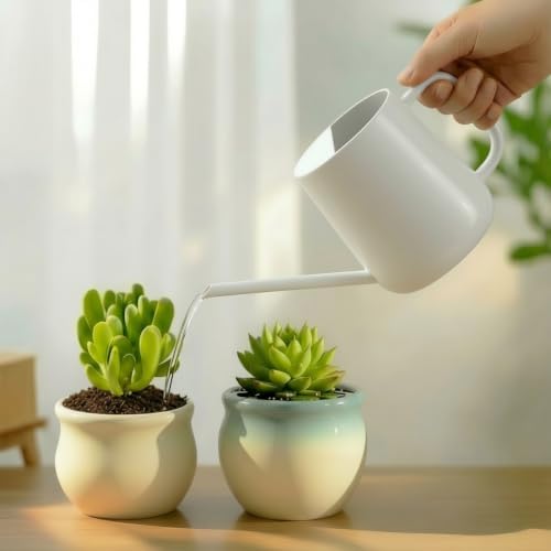 Watering Can for Indoor & Outdoor Plants, 35 oz/1000ml Watering Can with Metal Handle, Stainless Steel Garden Long Spout Watering Pot for Indoor House Plants Bonsai Flower Decorative - Image 6