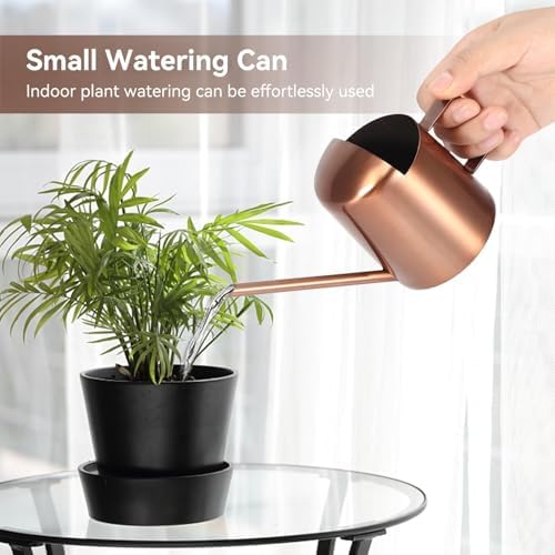 10oz/300ml Watering Can Indoor Plants, Long Spout Small Watering Sprinkling Pot Mini Stainless Steel Water Can Garden Water Pot for Indoor House Plants Bonsai - Image 6