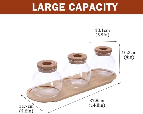Plant Propagation Station, Glass Propagation Vases with Lid and Wooden Stand, Prop Drops Terrarium Jar for Hydroponics Home Garden Office Decor, 3 Bulb Vase - Image 6
