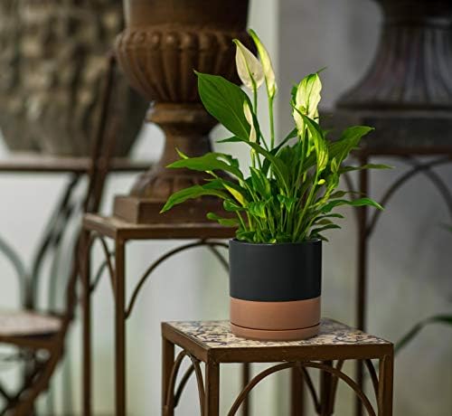 D'vine Dev 8 Inch Ceramic Planter Pot, Black/Tan, 94-O-D-7 - Image 6