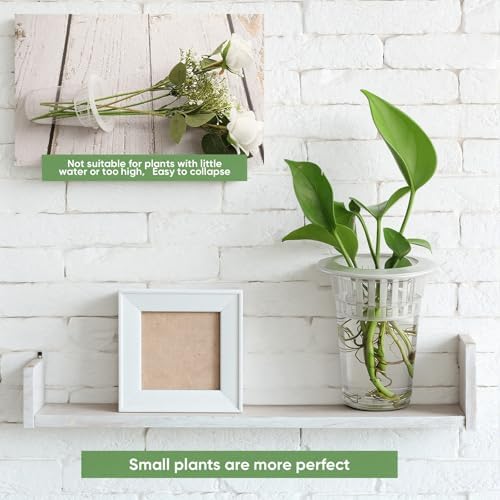 Baderke 100 Pcs Plastic Plant Propagation Vase for Indoor Decor, 3.94'' - Image 6