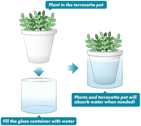 D'vine Dev Self-Watering White Terracotta Planter, 4 in, 4-Pack, 37-Z-A-2-F - Image 6
