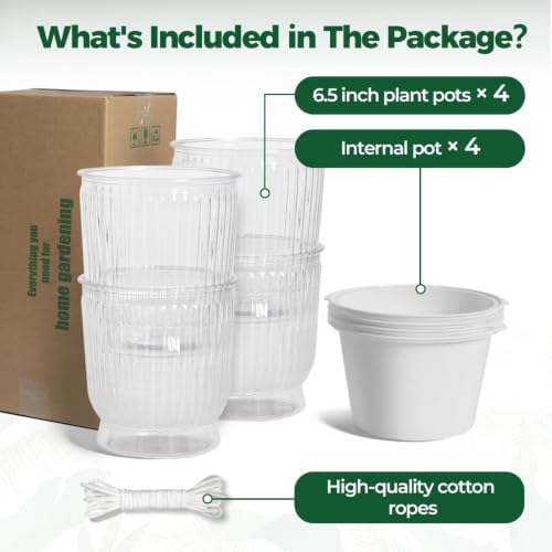 T4U Self Watering Pots for Indoor Plants 6 Inch 4 Pack Planter Clear - Image 6