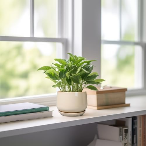 G EPGardening 4 inch Plant Pots - Ceramic Planter with Drainage Hole & Saucer, Small Plant Pots for Indoor Outdoor, Round Succulent Pot, Modern Decorative Flower Pot, Desk Decor, Garden Gifts, Beige - Image 6