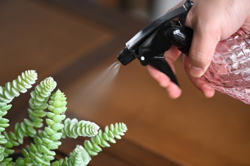 Glass Handheld Spray Bottle - 12oz Refillable Bottle - Image 6