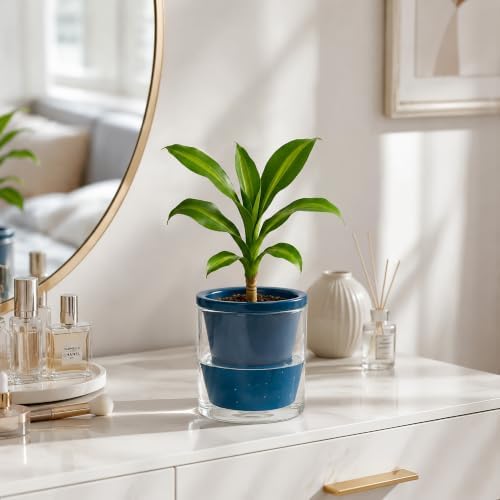 D'vine Dev Self-Watering Blue Terracotta Planter, 4 in, 3-Pack, 37-Z-A-4-T - Image 6