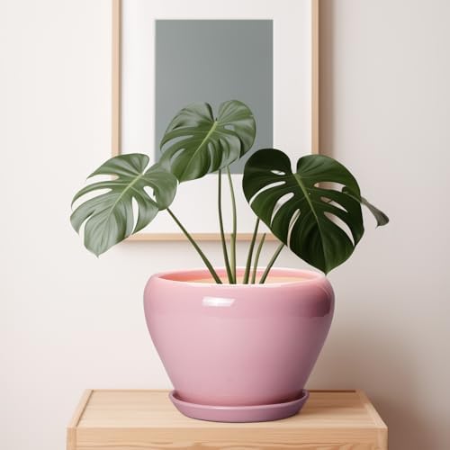 Ceramicfor 10 Inch Plant Pot - Ceramic Planter for Indoor Plants, Glaze Modern Round Planter with Drainage Hole and Saucer, Gifts for Plant Lovers, Office Patio Home Room Decor, Pink - Image 7