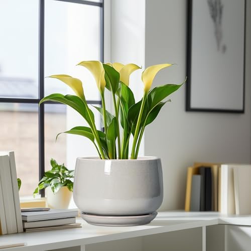 G EPGardening Ceramic Plant Pots 9 Inch, Light Grey - Image 6