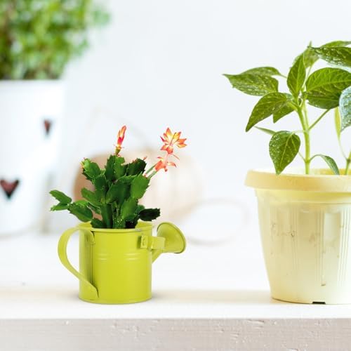 Mini Watering Can for Plants Indoor Outdoor, Decorative Metal Flower Watering Pail with Handle, Long Spout Small Spray Pot for Succulent Gardening - Image 7