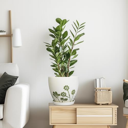 MPotTo 8.2 Inch Plant Pot - Ceramic Planter for Indoor Outdoor Flowers, Boho Round Decorative Indoor Flower Pot with Drainage Hole and Saucer, Gifts for Plant Lovers, Office Garden House Decor, White - Image 6