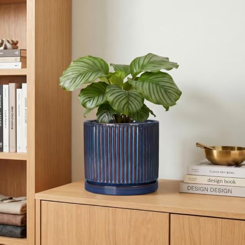 Ceramic Plant Pots, 6 Inch Indoor Pots for Plants, Retro Blue - Image 7