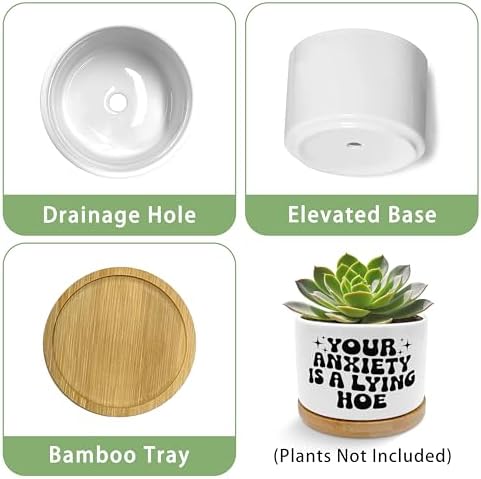 Funny Mental Health Planter Pots, Anti Anxiety Gifts for Women, Your Anxiety is Lying Inspirational Ceramic Succulent Plant Flower Planters for Home Office Desk Table Shelf(No Plants) - Image 6