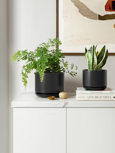 LE TAUCI Ceramic Pots for Plants, 6.8 Inch Plant Pots with Drainage Hole & Saucer, Modern Planter for Indoor Plants, Stable & Durable, Perfect for Living Room or Office Decor, Black - Image 6