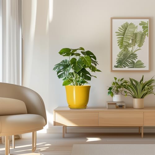 Ceramic Pots for Plants - 8 Inch Plant Pot for Indoor Outdoor, Round Planter with Drainage Hole and Tray, Decorative Flower Pot, Modern Planter, Home Patio Decor, House Warming Gift, Yellow - Image 7