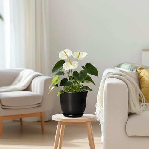 Ceramic Planter - 5.6 Inch Plant Pot for Indoor Outdoor, Round Succulent Pots with Drainage Hole and Saucer, Orchid Flower Pot, Modern Planter, Home Office Decor, House Warming Gifts, Black - Image 7