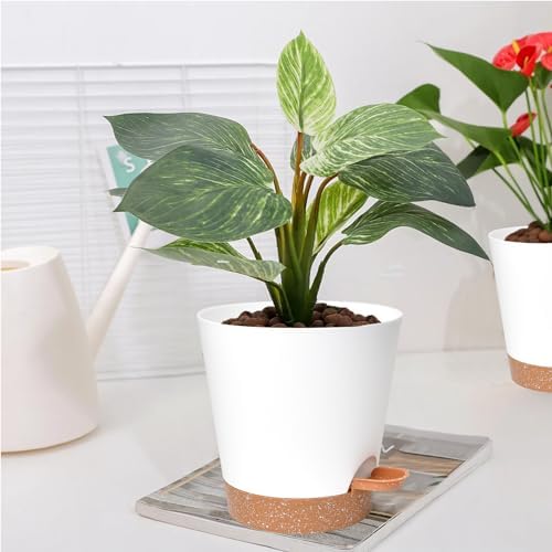 Vanslogreen Planters for Indoor Plants 7/6.5/6/5.5/5 Inch, Self Watering Planters with Drainage Holes and Saucers 5 Pack Plastic Pots for Plants, Succulents, Herbs, Cactus, Flower Pots, White - Image 7