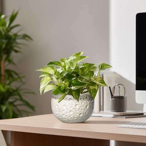 Ceramic Pots for Plants, 6 Inch Plant Pot Indoor, Beige-Grey - Image 7