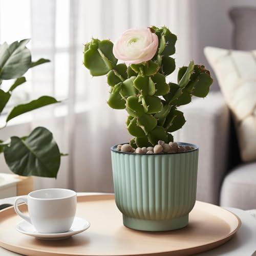 T4U Self Watering Pots for Indoor Plants, 6 Inch 6 Pack Planter Green - Image 7