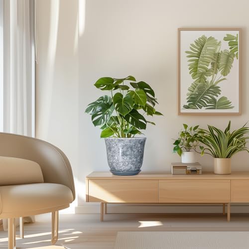 Ceramic Plant Pots - 8 Inch Plant Pot with Drainage Hole and Saucer, Round Planter for Indoor Outdoor, Modern Flower Pots, Decorative Planters, Home Room Office Decor, Gardening Gifts, Grey - Image 7