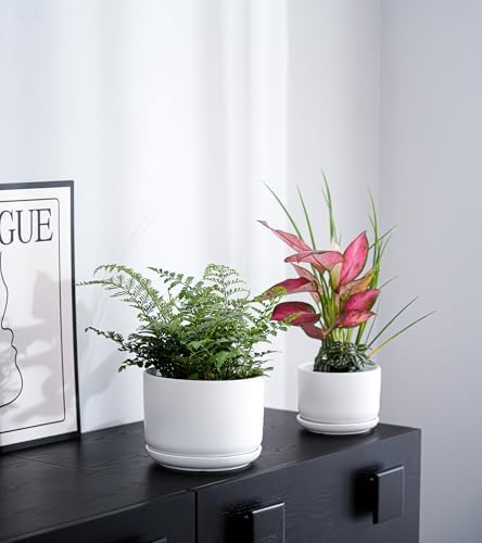 White Plant Pots,Ceramic Flower Pots Set of 3 with Drainage Holes(Matte) - Image 7