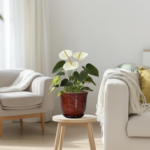 Ceramic Plant Pots - 5.6 Inch Plant Pot Indoor Outdoor, Small Planter with Drainage Hole and Saucer, Round Planter, Orchid Succulent Pots, Garden Room Decor, Gardening Gifts for Women, Red - Image 7