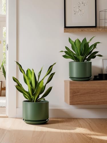 LE TAUCI Ceramic Plant Pots, Set of 2, 8+10 Inch Plant Pots Indoor with Drainage Hole & Saucer, Sturdy Planters for Indoor Plants, Modern Minimalist Decor for Snake Plant, Monstera, Forest Green - Image 6