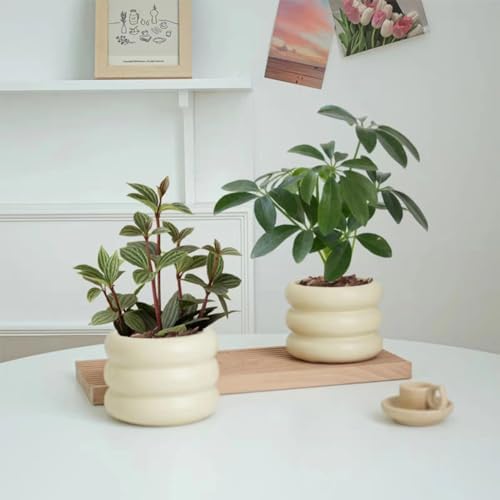 Ceramic Plant Pot Indoor, 4.5 Inch Flower Pot with Drainage Hole, Small Bubble Design Ceramic Planter for Home & Office Decor (Beige) - Image 6
