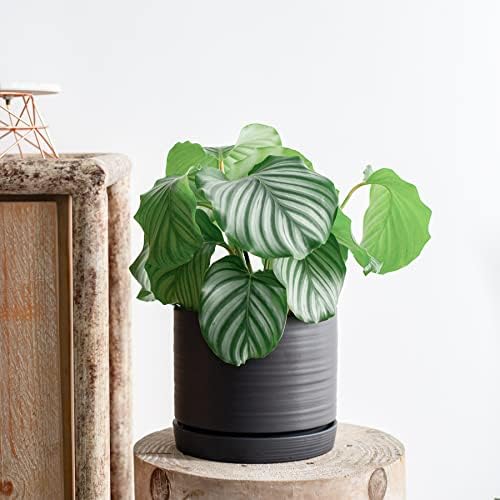 HERDUK 8 Inch Pots for Plants, Ceramic Planter Pot with Drainage Hole & Saucer, Indoor/Outdoor Cylinder Round Planter Pot, Matte Black - Image 6