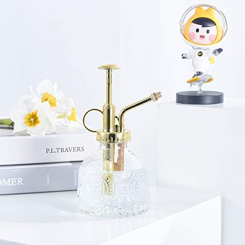 Glass Plant Mister Spray Bottle, Vintage Succulent Water Sprayer with Golden Top Pump, Small Sprayer Mister for Indoor Outdoor House Plants - Clear - Image 7