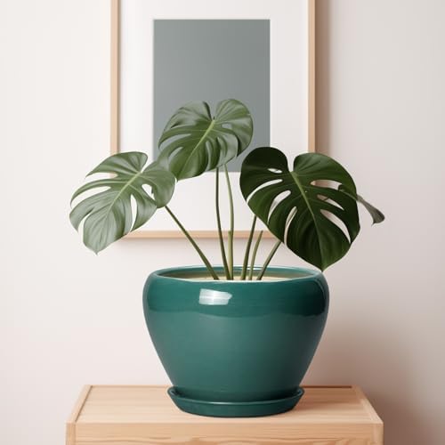 Ceramicfor Ceramic Planter for Indoor Plants 10 Inch, Green - Image 7