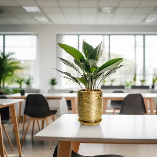 Indoor Plant Pot 8 Inch - Ceramic Planter for Indoor Outdoor Flowers, Round Modern Flower Pot with Drainage Hole and Saucer, Gifts for Plants Lovers, Garden Room Decor, Gold - Image 7