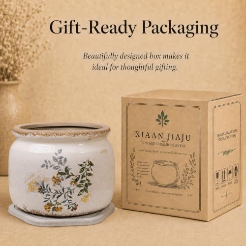 Rustic Cottage Ceramic Plant Pot with Decorative Saucer, Plant Lover Gifts - Image 7