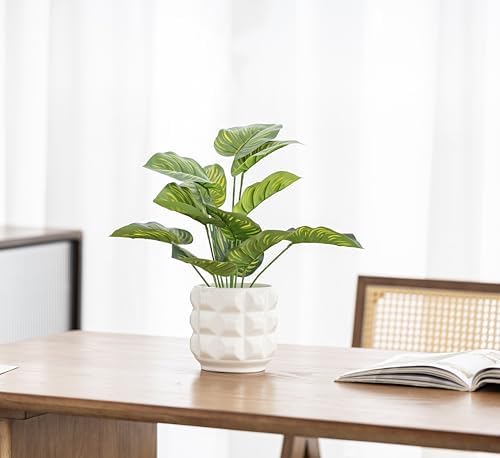 Ceramic Planter Pot with Drainage Hole, 4.5 Inch Dia, Indoor and Outdoor, Home Patio Garden, Plants Flower Succulent, 3D Patterned Round (White) - Image 7