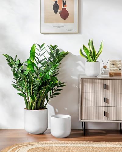 vancasso 6+8+10 inches Ceramic Plant Pots, Set of 3, Planters with Drainage Hole, Flower Pots Planters Pots for Indoor Plants, Modern Indoor Decorative Garden Pot, Home Decor, White - Image 6