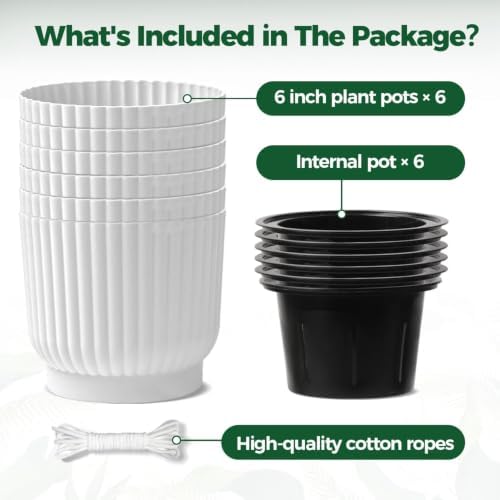 T4U Self Watering Pots for Indoor Plants, 6 Inch 6 Pack Planter White - Image 6