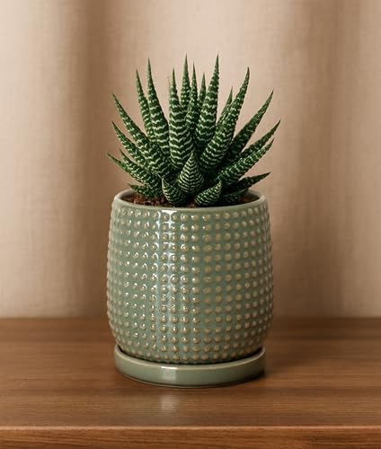 D'vine Dev Beaded Ceramic Pot with Saucer, 4 in, Olive, 27-C-Z-0 - Image 6