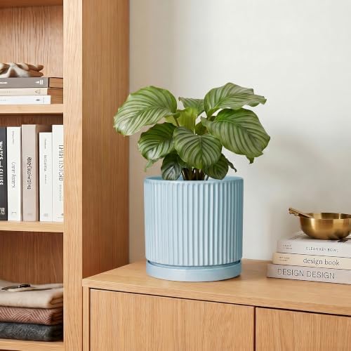 Ceramic Flower Pots, 6 Inch Planters with Saucer, Light Blue - Image 7
