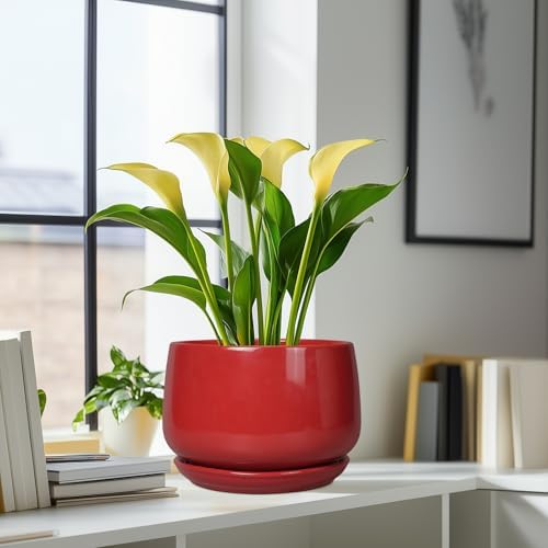 G EPGardening Ceramic Plant Pots - 9 Inch Flower pots for Indoor Outdoor Plant, Round Planter with Drainage and Saucer, Modern Home Decor, Gift for Women Men, Red - Image 6