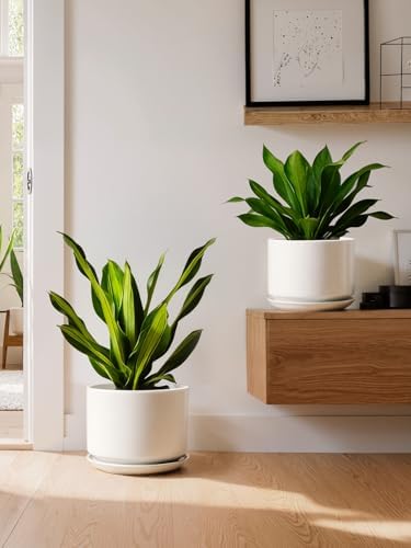 LE TAUCI Ceramic Pots for Plants, 10 Inch Plant Pot with Drainage Hole & Saucer, Sturdy & Modern Planters for Indoor Plants, Includes Mesh Screen, Fits Snake Plant & Monstera, White - Image 6