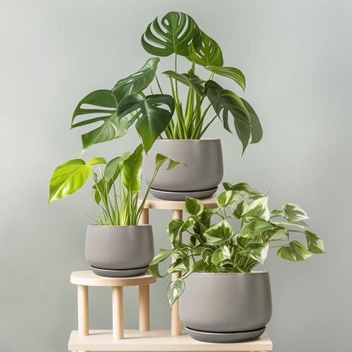 G EPGardening Ceramic Pots for Plants 7 Inch, Grey - Image 7