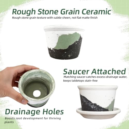 2.5 Inch Mini Ceramic Planter Pot with Drainage Hole and Saucer, Round Flower Pot for Indoor Plants, Cactus Herbs Windowsill Decor(White&Green) - Image 6