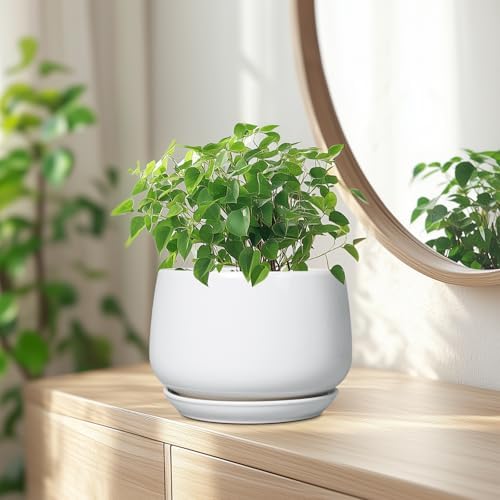 G EPGardening Ceramic Pots for Plants - 7 Inch Planter for Indoor Plants, Round Flower Pots with Drainage and Saucer, Modern Outdoor Planter, Garden Decor, Home Gifts, White - Image 6