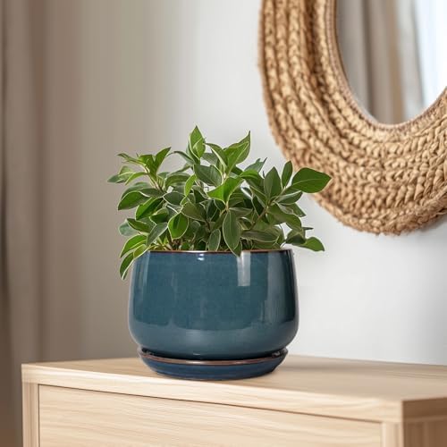 G EPGardening Ceramic Plant Pots - 9 Inch Round Modern Planter Indoor with Drainage and Tray for Indoor Outdoor Flower, Office Decor, Gardening Gifts, Retro Blue - Image 6