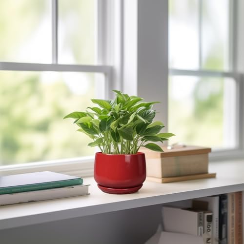 G EPGardening Ceramic Pots for Plants - 4 inch Succulent Pots Indoor Outdoor, Small Planter with Drainage Hole & Tray, Modern Flower Pot, Decorative Round Planter, Living Room Decor, Home Gifts, Red - Image 6